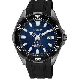 Pánské hodinky Citizen BN0205-10L