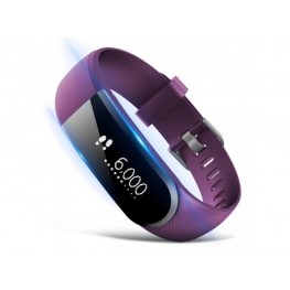 VeryFit 101DIX06 PURPLE